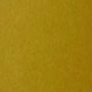 DIJON GOLD
