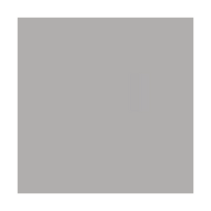 SILVER GRAY