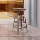 #color_Ash
